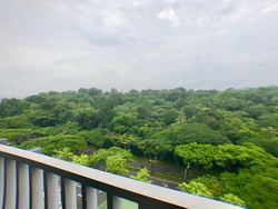 Meadows @ Peirce (D26), Condominium #174777672